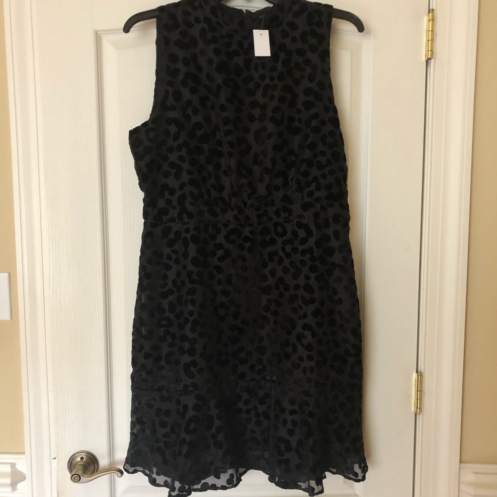 Ann Taylor Black Dress With Leopard Print